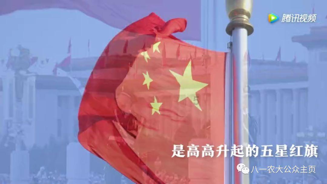 救出被困的老鼠