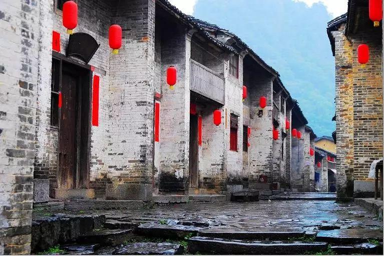 泡沫森林
